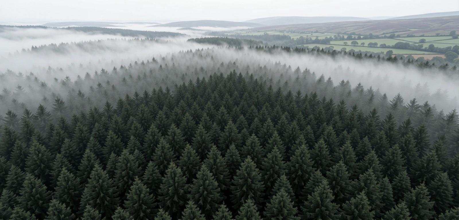 Natural sourcing environment